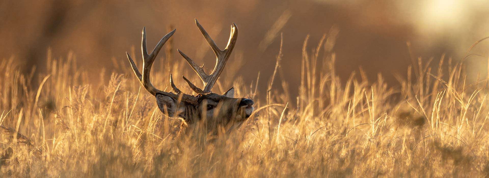 About West Central Outfitters, LLC About West Central Outfitters, LLC