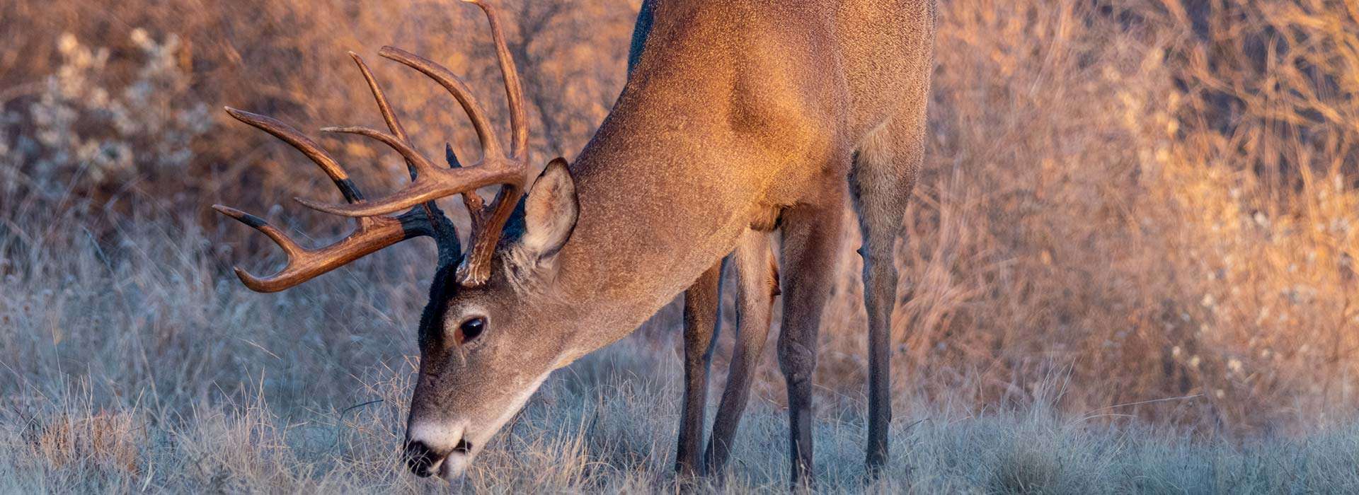 Contact West Central Outfitters, LLC Contact West Central Outfitters, LLC